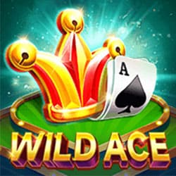 Wild Ace